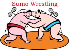 Robotic Sumo Wrestling